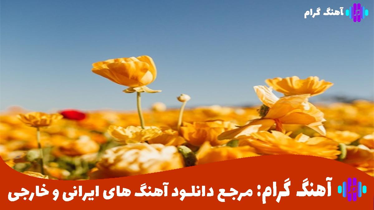 کاور آهنگ رفتم تو را یادم فراموش از آرون افشار و هایده